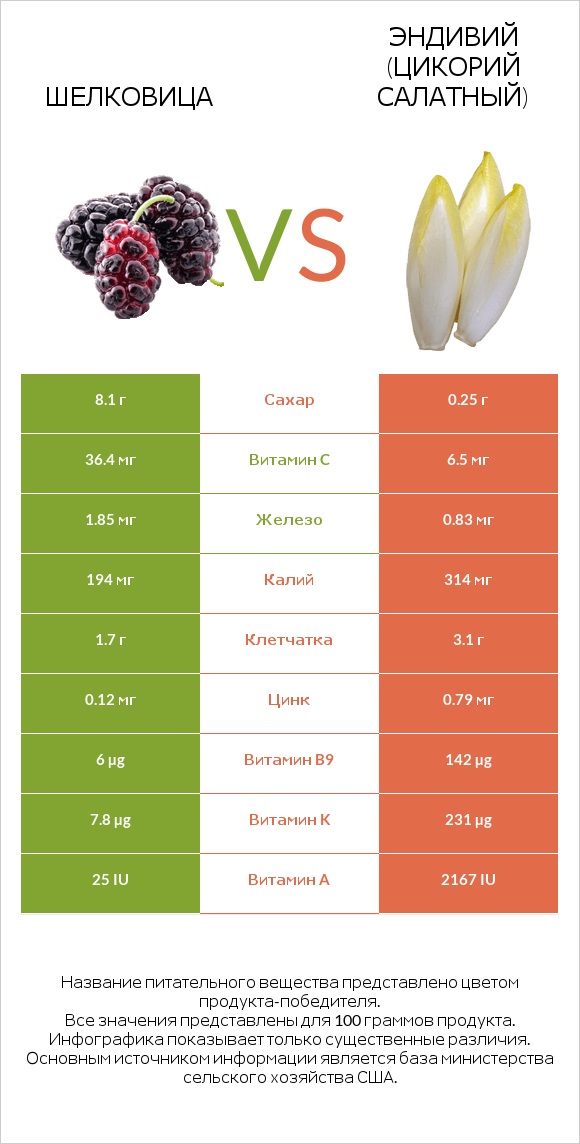 Шелковица vs Эндивий (Цикорий салатный) infographic