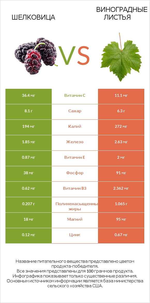 Шелковица vs Виноградные листья infographic