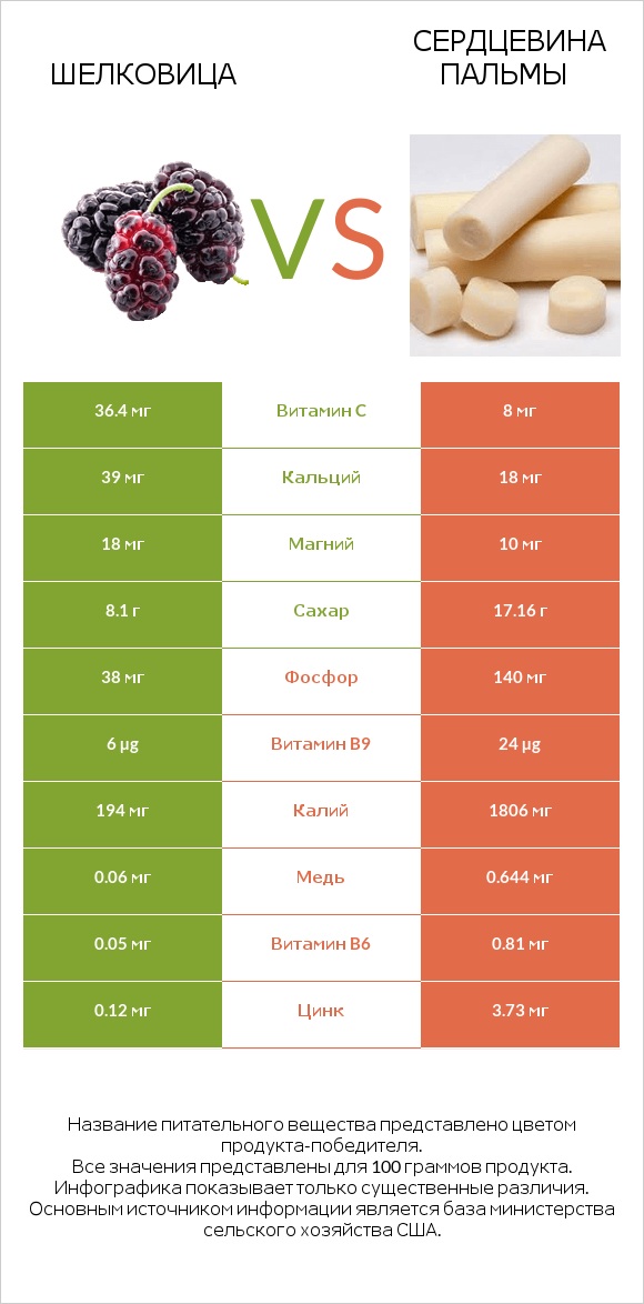 Шелковица vs Сердцевина пальмы infographic