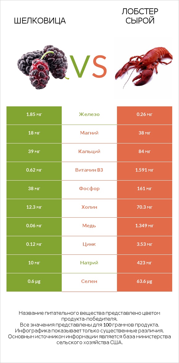 Шелковица vs Лобстер сырой infographic
