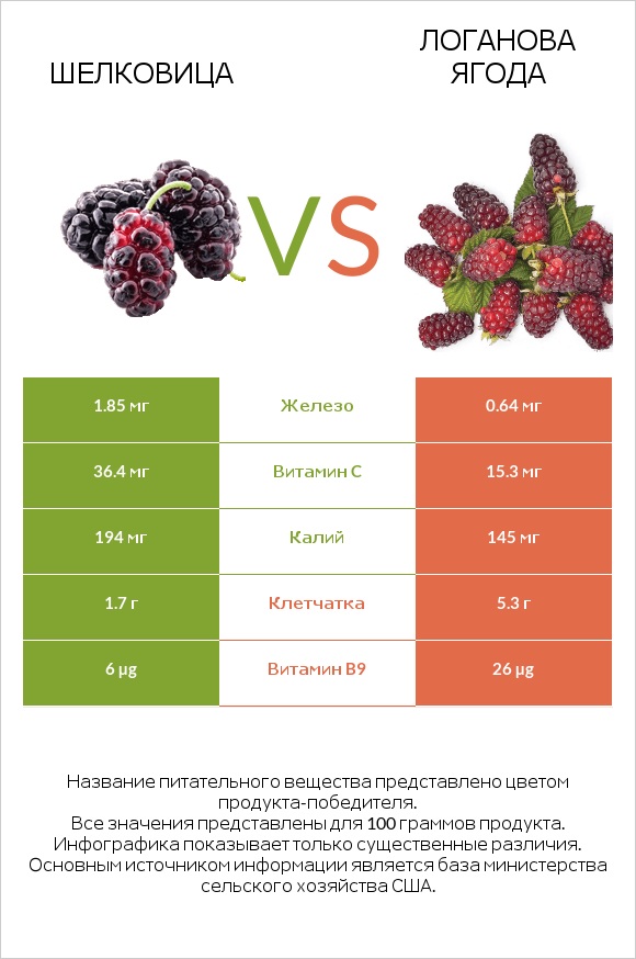 Шелковица vs Логанова ягода infographic