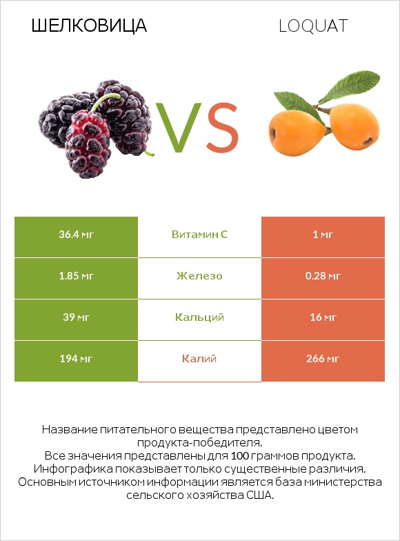 Шелковица vs Loquat infographic