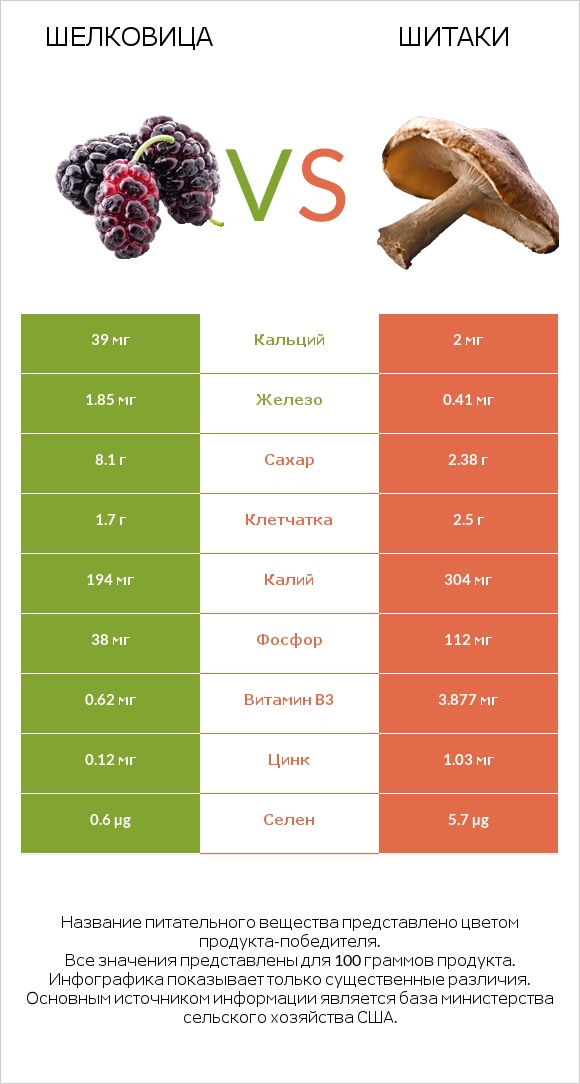 Шелковица vs Шитаки infographic