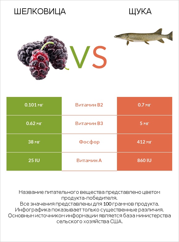 Шелковица vs Щука infographic