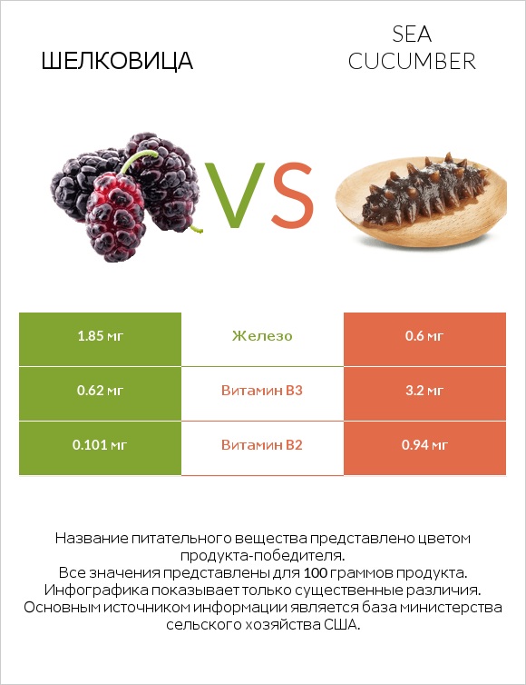 Шелковица vs Sea cucumber infographic