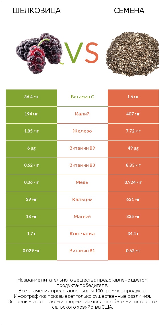 Шелковица vs Семена infographic
