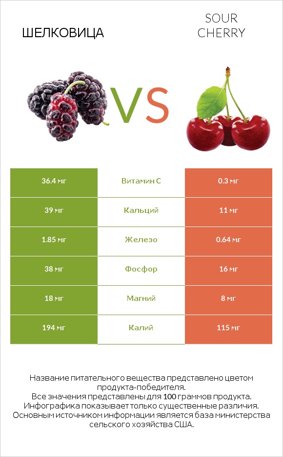Шелковица vs Sour cherry infographic