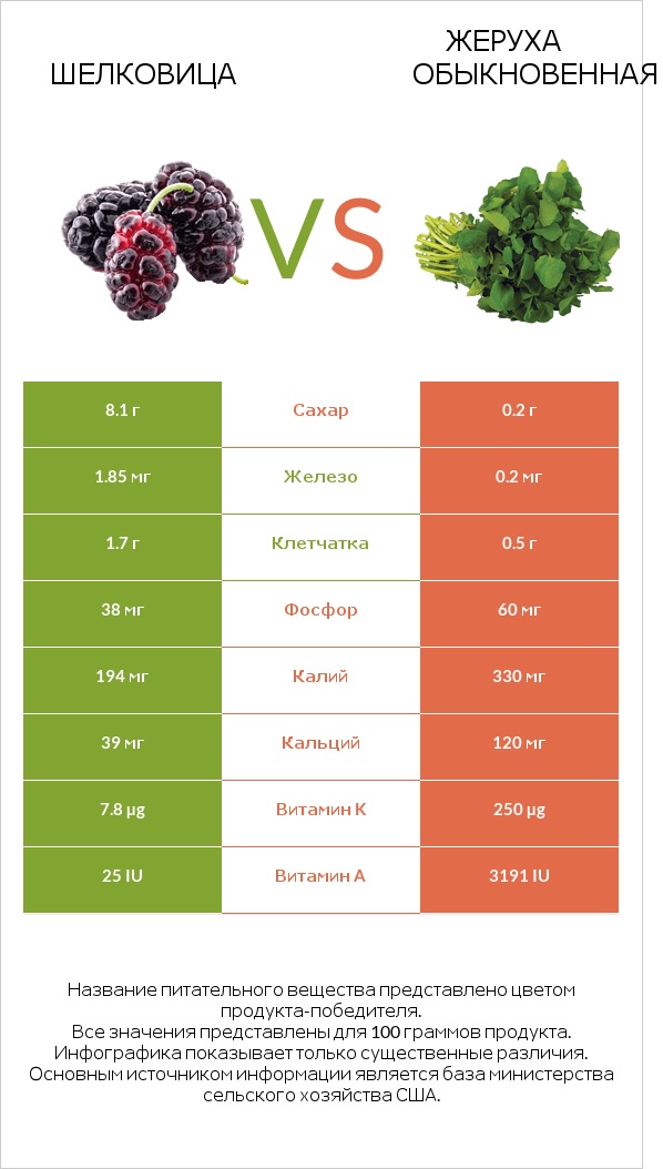 Шелковица vs Жеруха обыкновенная infographic