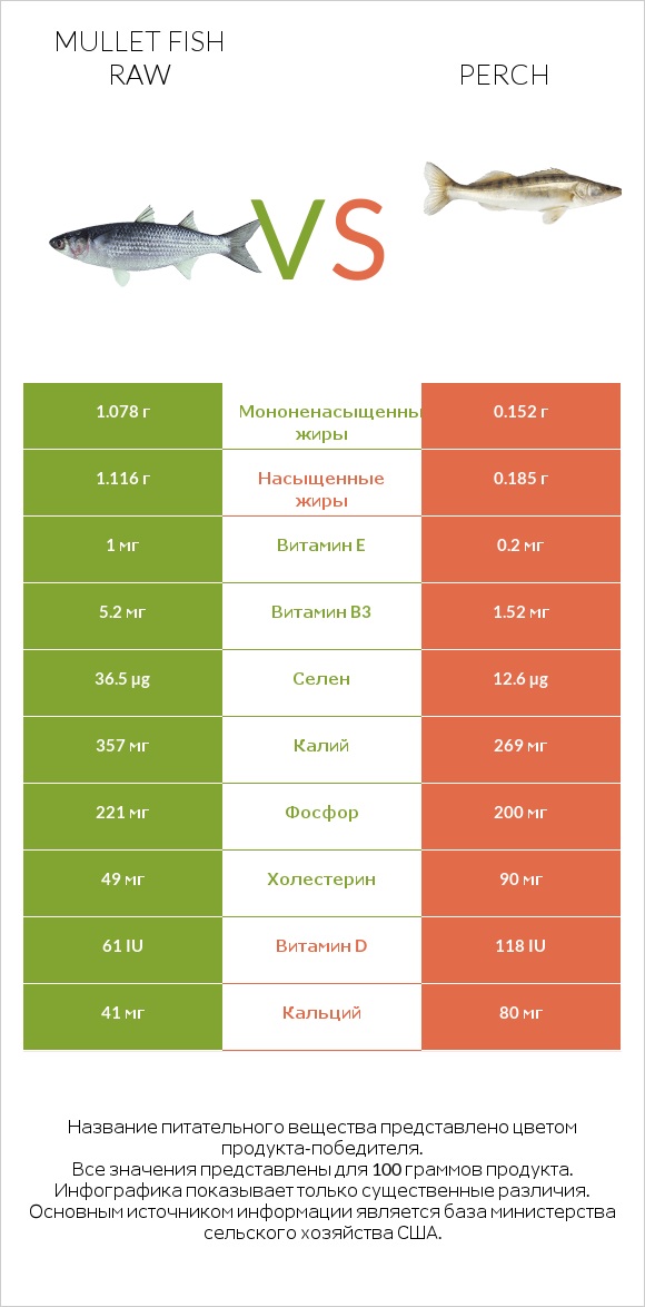 Mullet fish raw vs Perch infographic