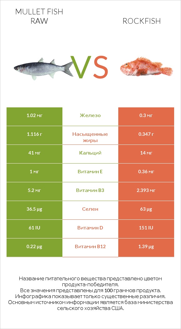 Mullet fish raw vs Rockfish infographic