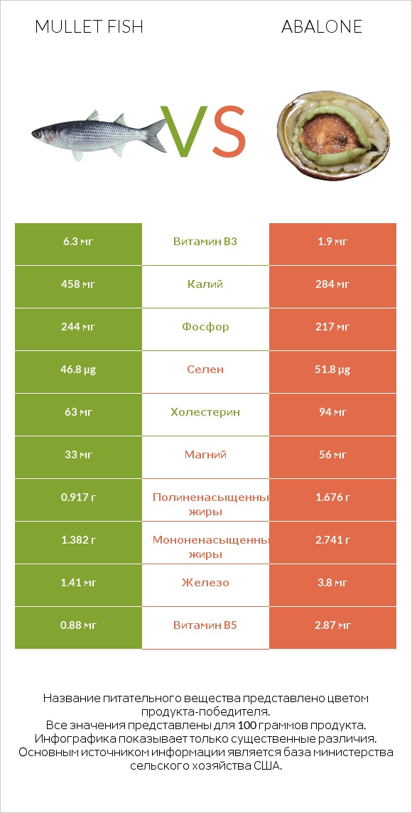 Mullet fish vs Abalone infographic