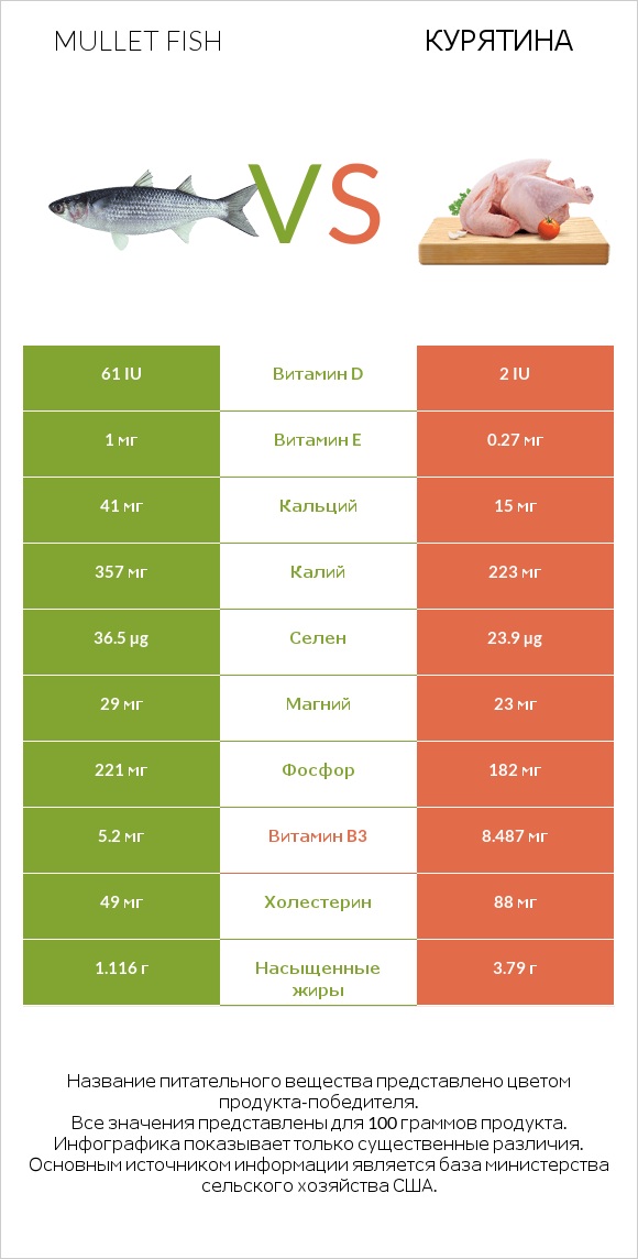 Mullet fish vs Курятина infographic