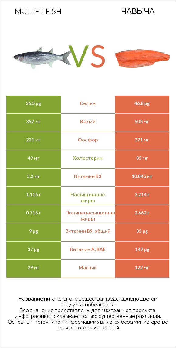 Mullet fish vs Чавыча infographic