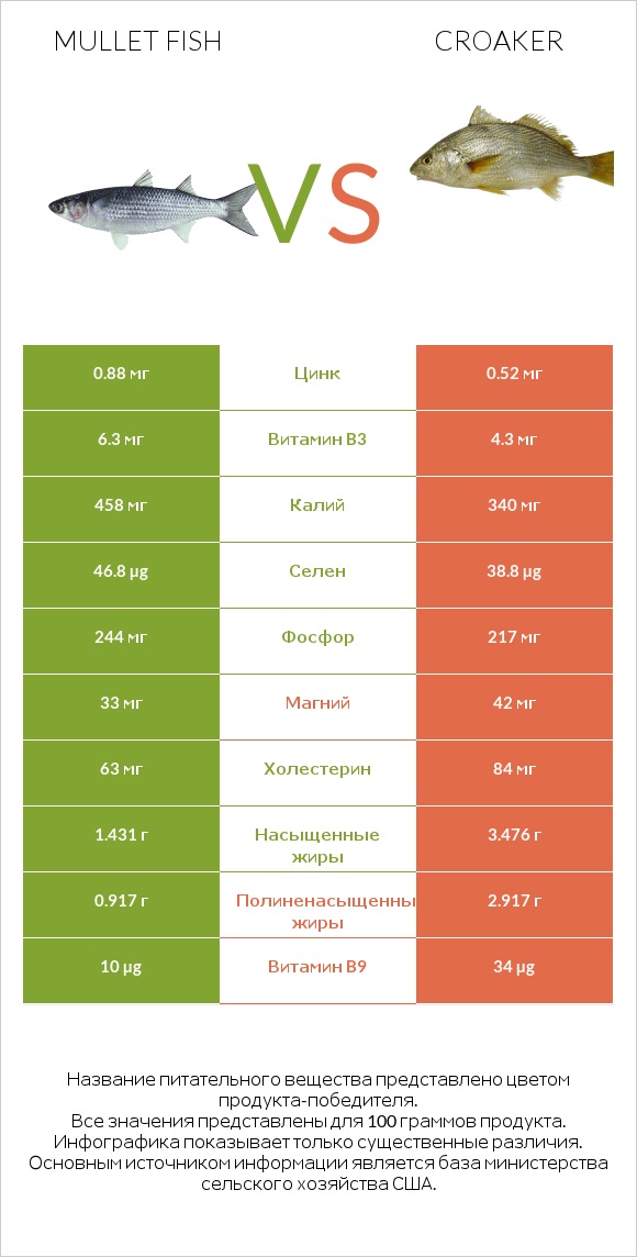 Mullet fish vs Croaker infographic