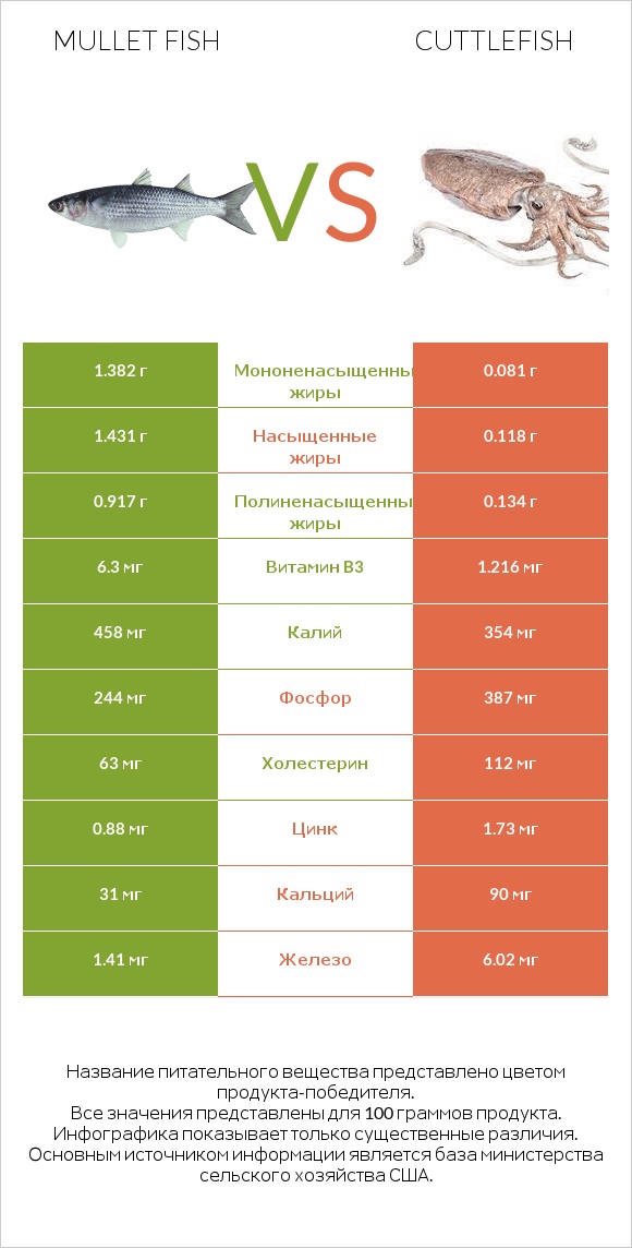 Mullet fish vs Cuttlefish infographic