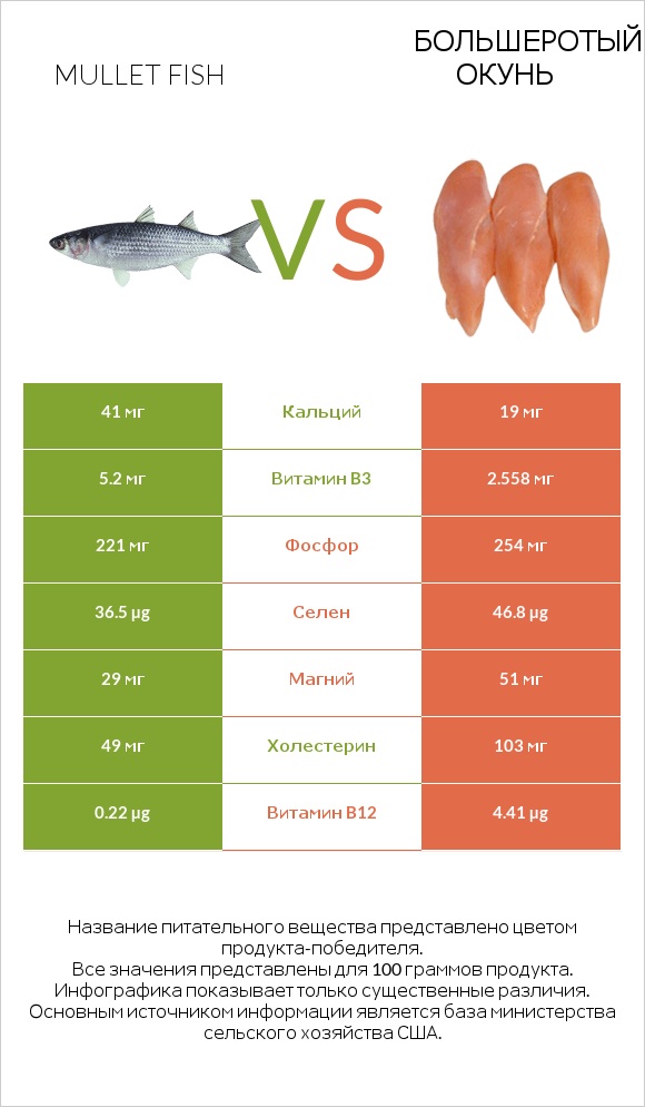 Mullet fish vs Большеротый окунь infographic