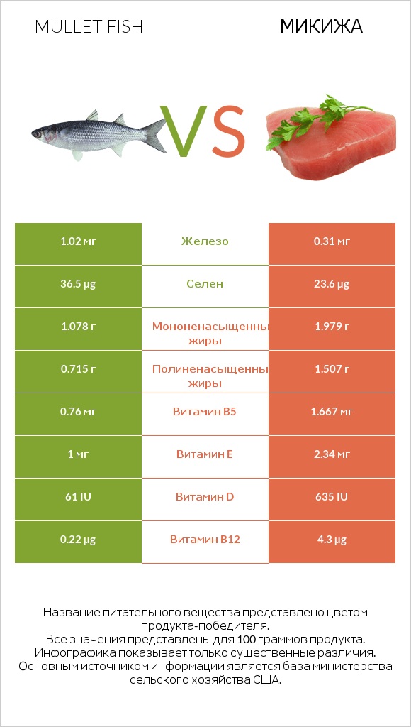 Mullet fish vs Микижа infographic