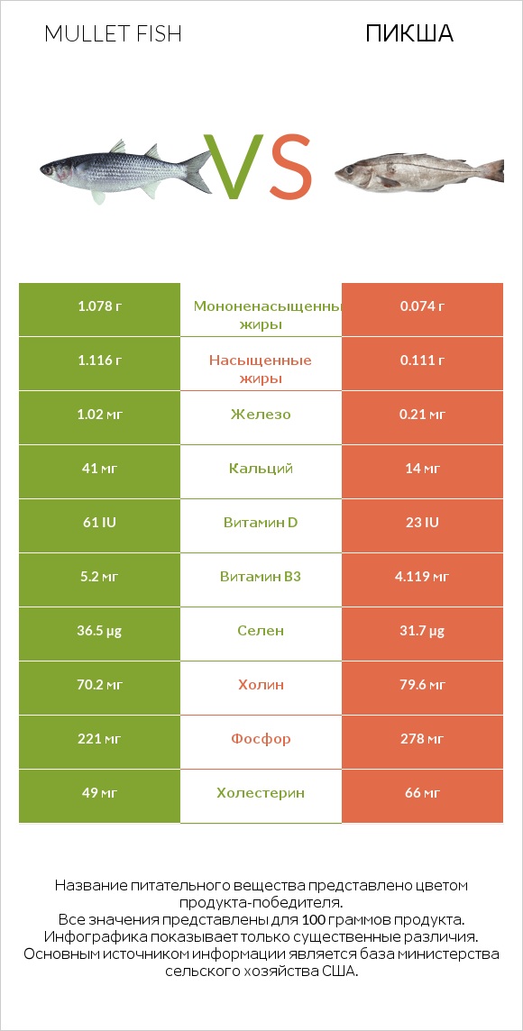 Mullet fish vs Пикша infographic