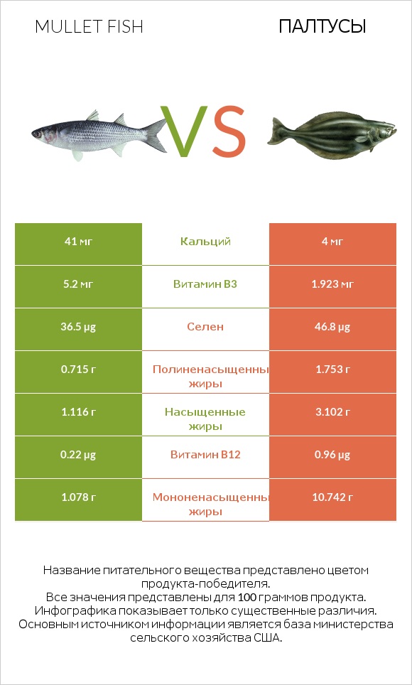 Mullet fish vs Палтусы infographic