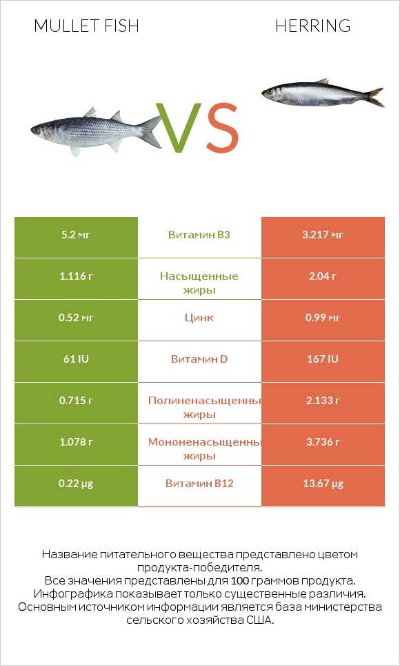 Mullet fish vs Herring infographic