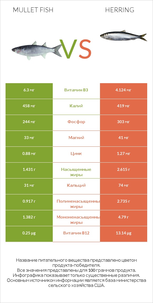 Mullet fish vs Herring infographic