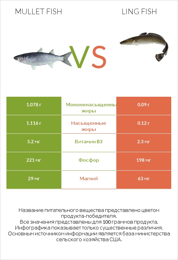 Mullet fish vs Ling fish infographic