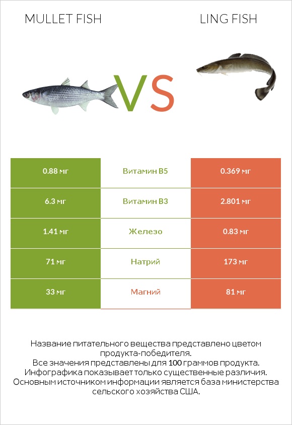 Mullet fish vs Ling fish infographic