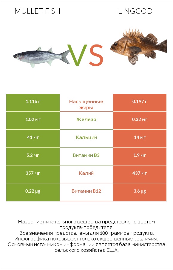Mullet fish vs Lingcod infographic