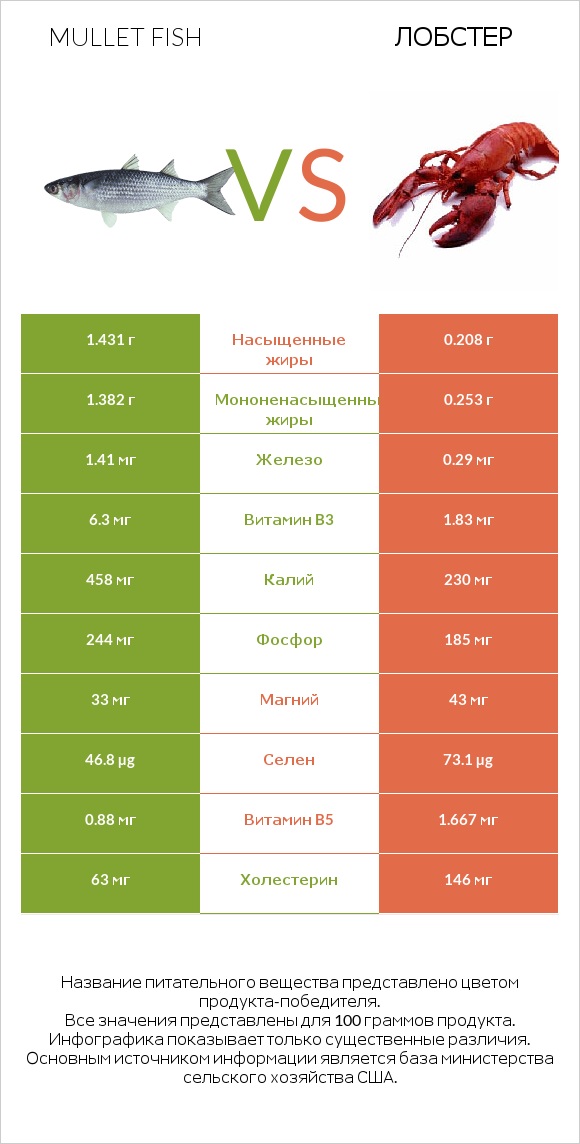 Mullet fish vs Лобстер infographic