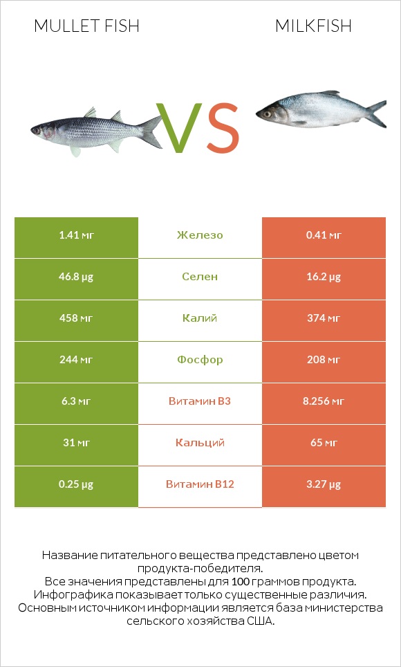 Mullet fish vs Milkfish infographic