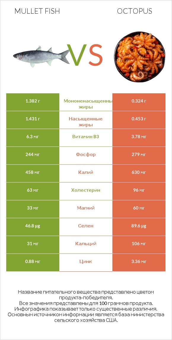 Mullet fish vs Octopus infographic