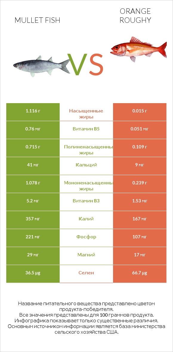 Mullet fish vs Orange roughy infographic