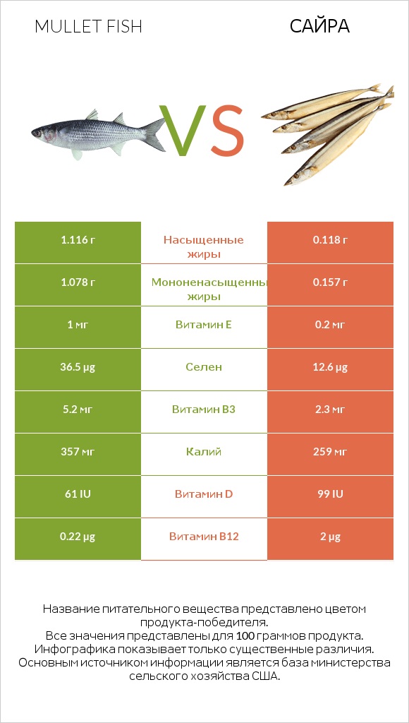 Mullet fish vs Сайра infographic
