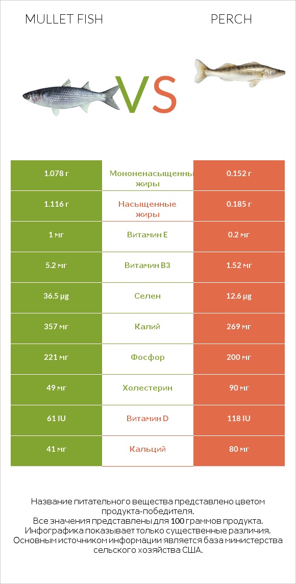 Mullet fish vs Perch infographic