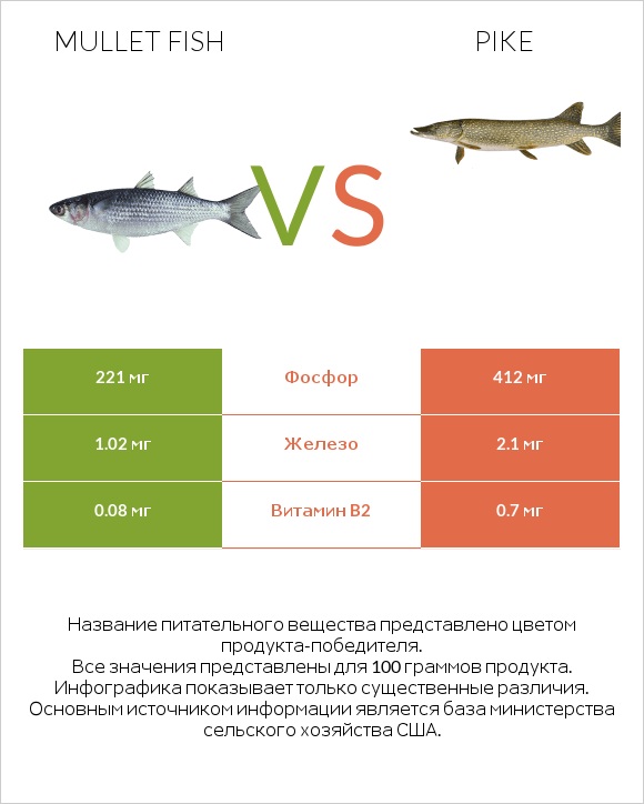 Mullet fish vs Pike infographic