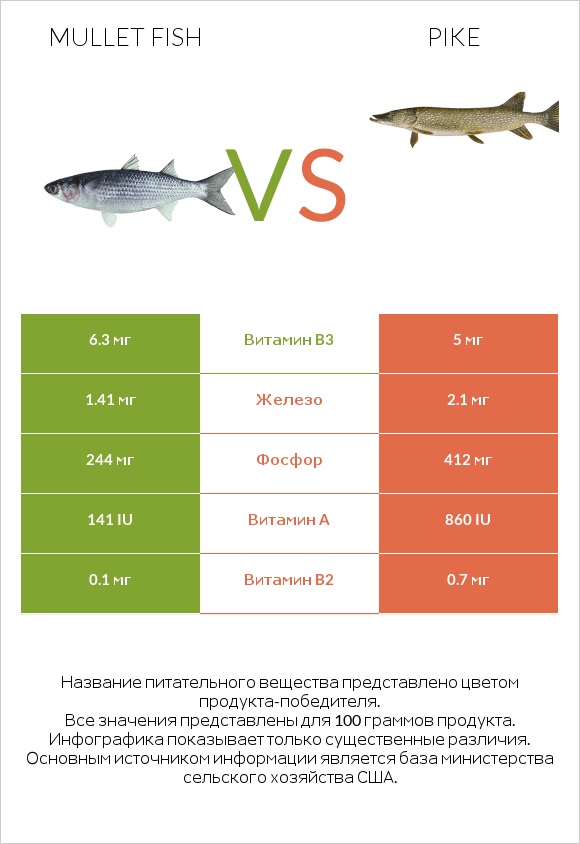 Mullet fish vs Pike infographic