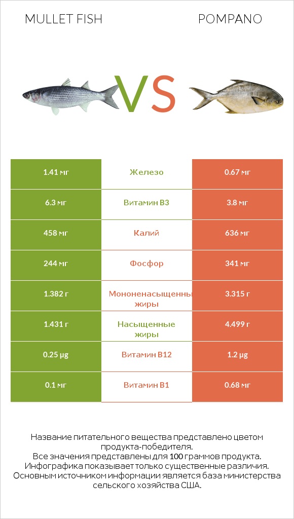 Mullet fish vs Pompano infographic