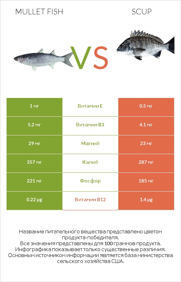Mullet fish vs Scup infographic