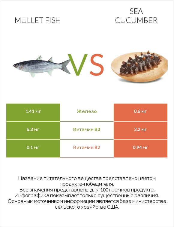 Mullet fish vs Sea cucumber infographic