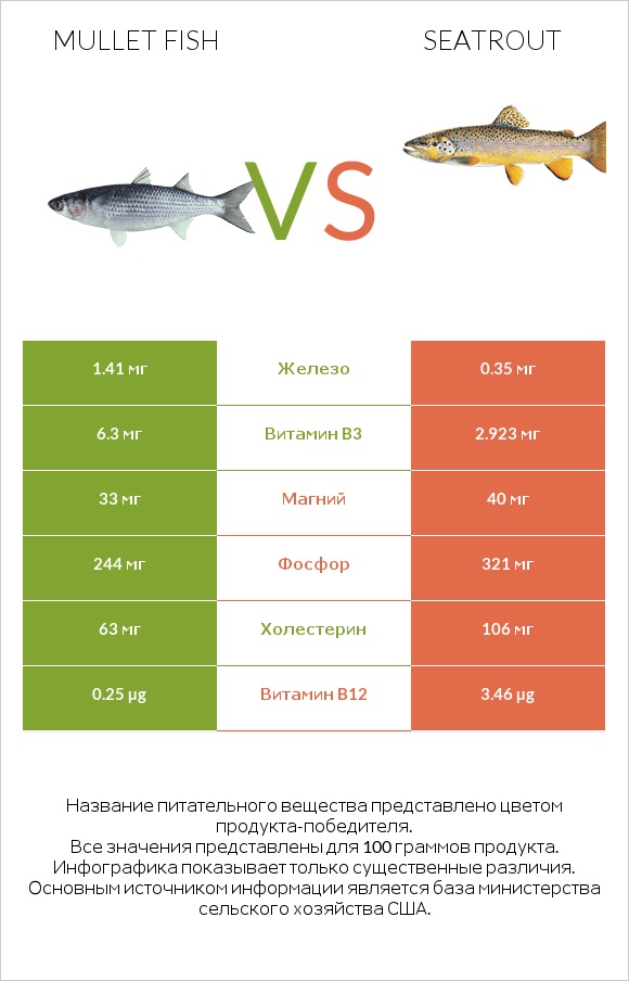 Mullet fish vs Seatrout infographic