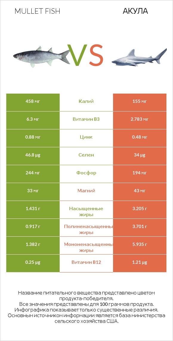 Mullet fish vs Акула infographic