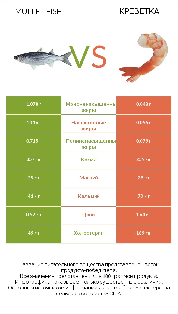 Mullet fish vs Креветка infographic