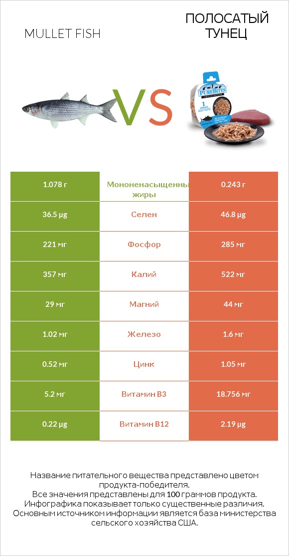 Mullet fish vs Полосатый тунец infographic