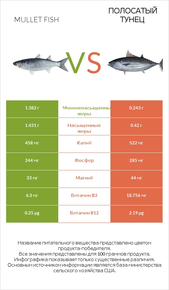 Mullet fish vs Полосатый тунец infographic