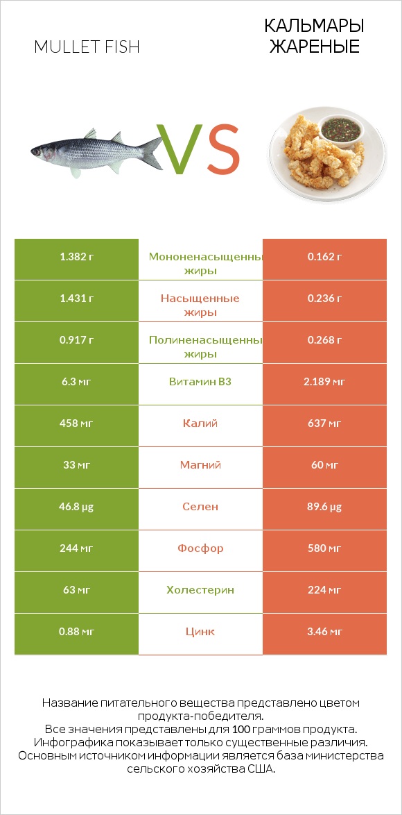 Mullet fish vs Кальмары жареные infographic