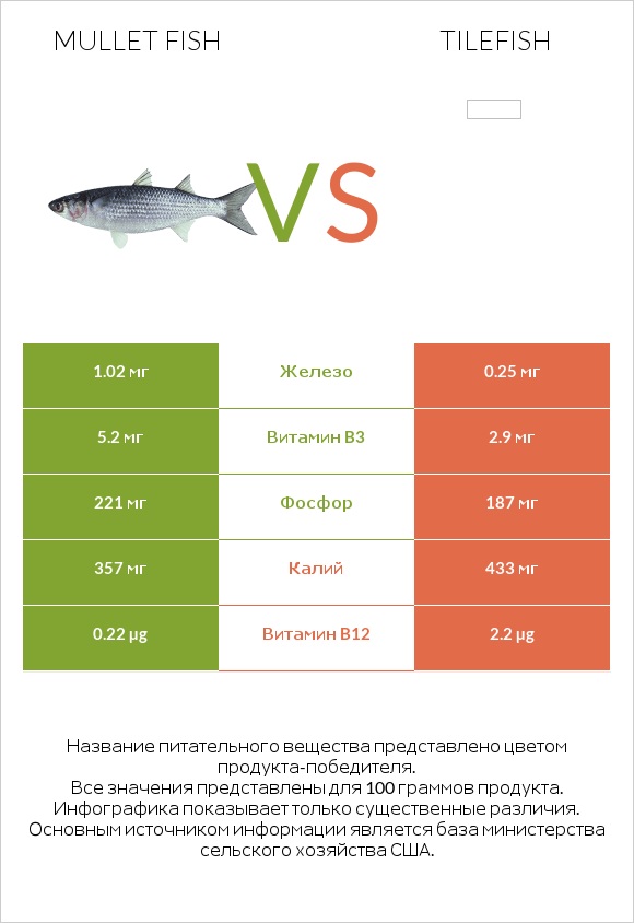 Mullet fish vs Tilefish infographic