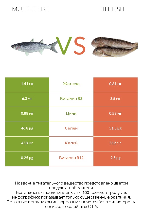 Mullet fish vs Tilefish infographic