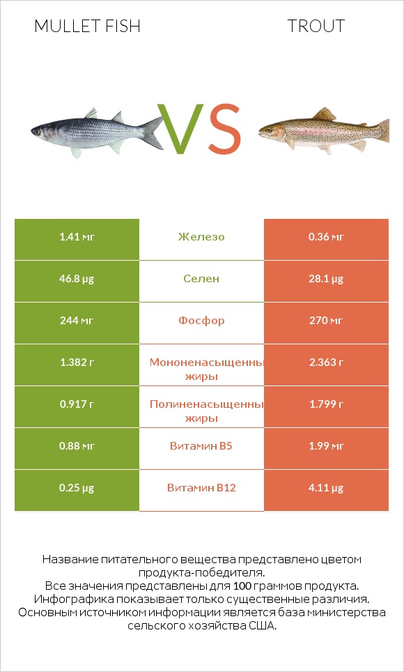 Mullet fish vs Trout infographic