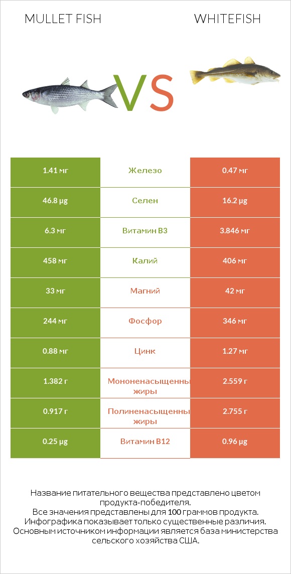 Mullet fish vs Whitefish infographic