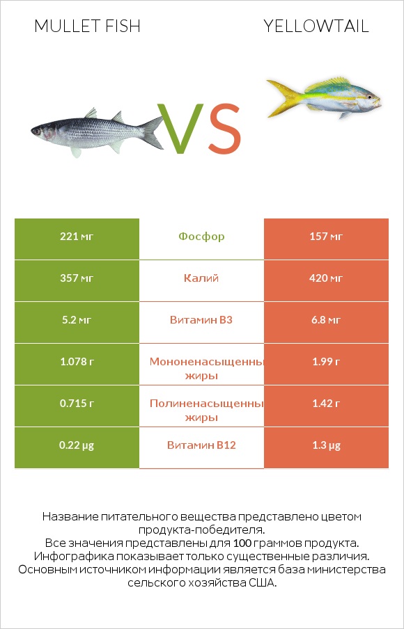 Mullet fish vs Yellowtail infographic